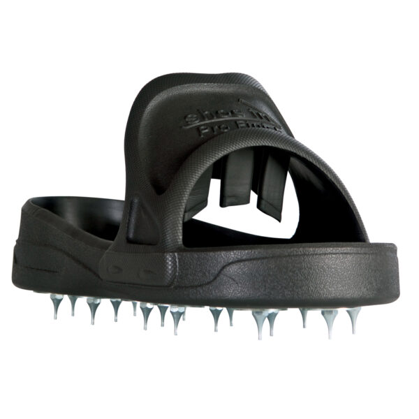 Pro Roller, Shoe In Pro